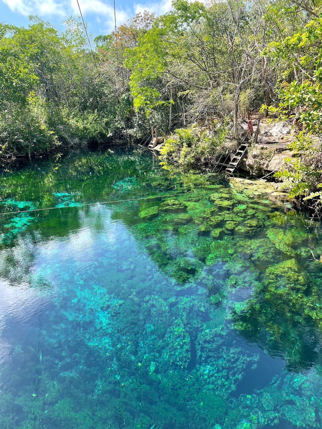 Playa Del Carmen