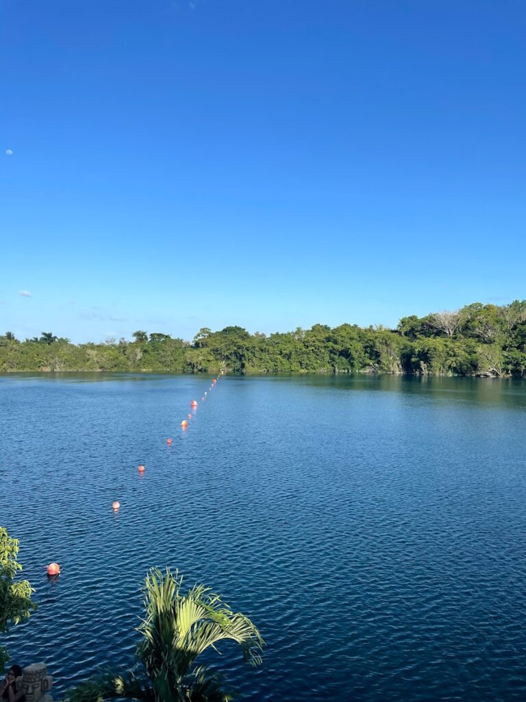 Bacalar