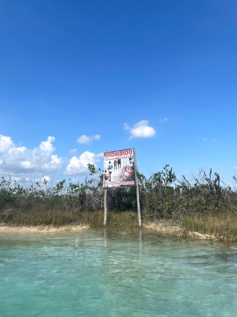 Bacalar